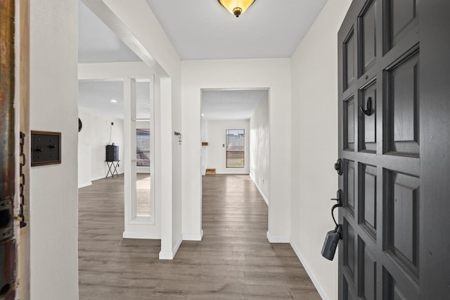 entryway featuring wood-type flooring