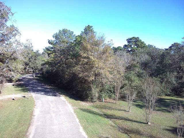 Listing photo 3 for LOT11 Galleria Oaks Ln, Magnolia TX 77354