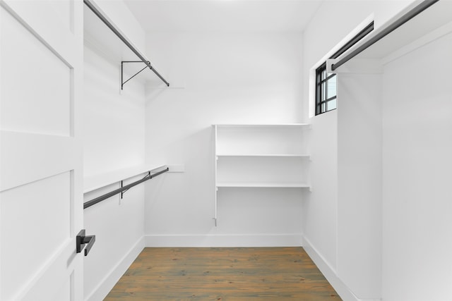 spacious closet featuring dark hardwood / wood-style floors