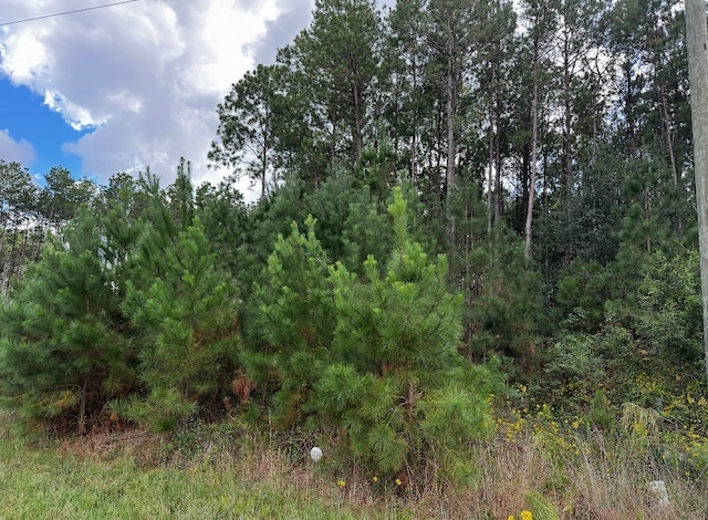 Listing photo 2 for TBD Road 3545, Cleveland TX 77327