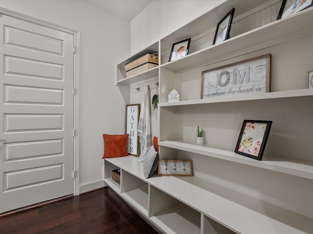 mudroom featuring dark wood-type flooring