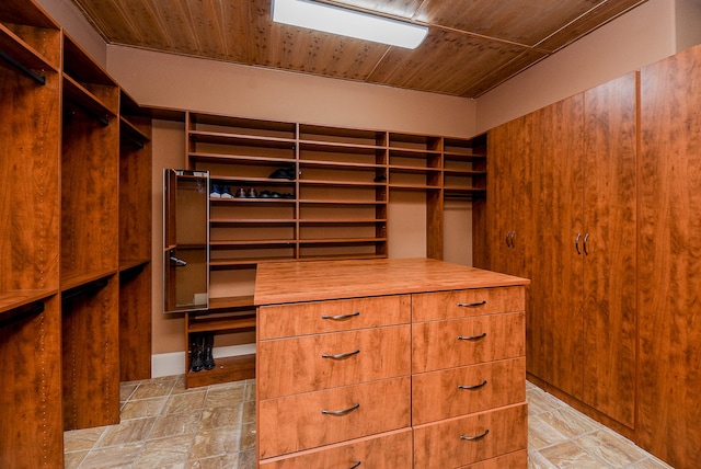 view of spacious closet