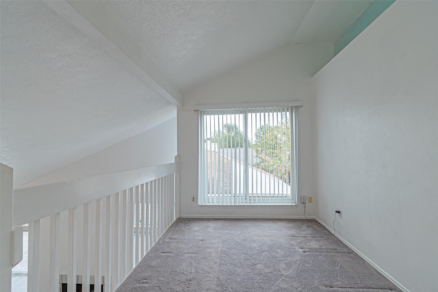 interior space with carpet, vaulted ceiling, and a textured ceiling