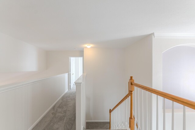 hallway featuring carpet flooring and ornamental molding