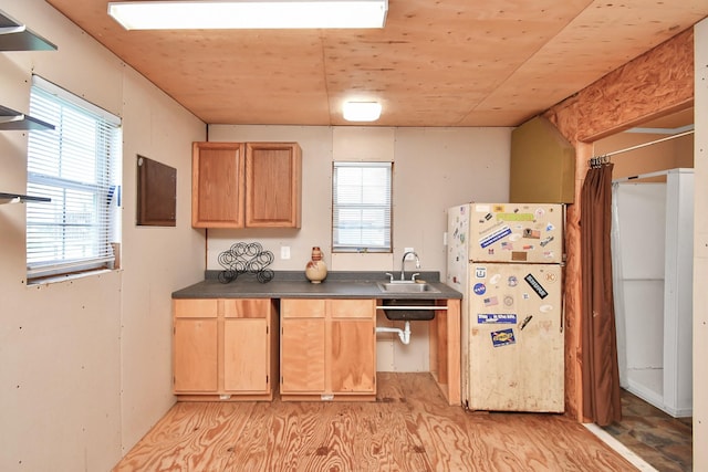 kitchen featuring plenty of natural light, sink, white fridge, and light hardwood / wood-style flooring