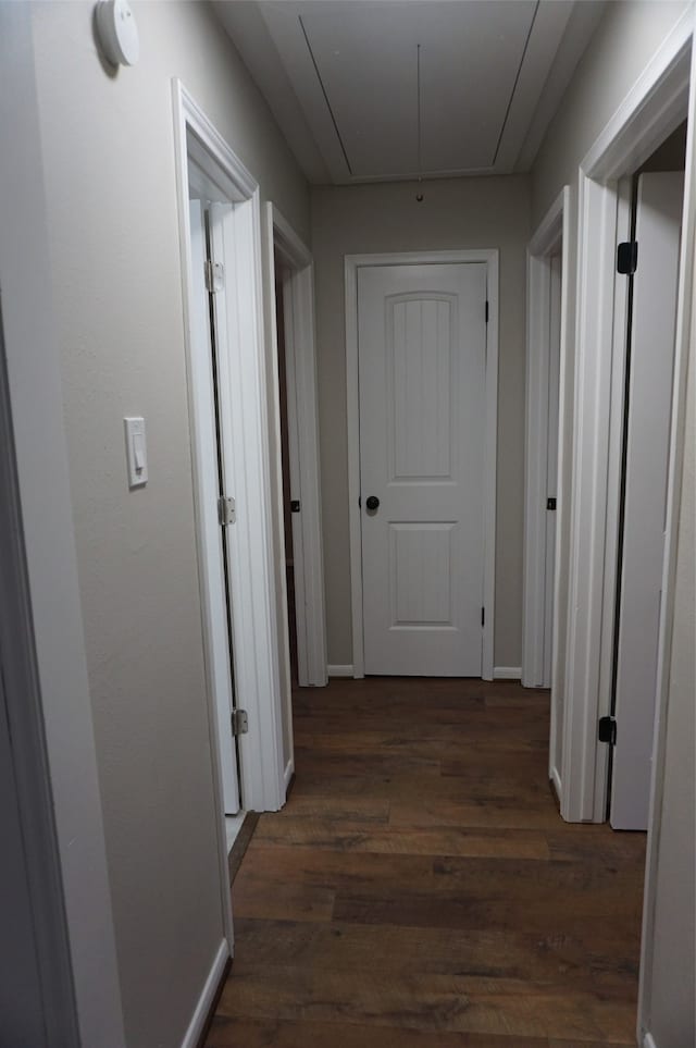 hallway with dark wood-type flooring