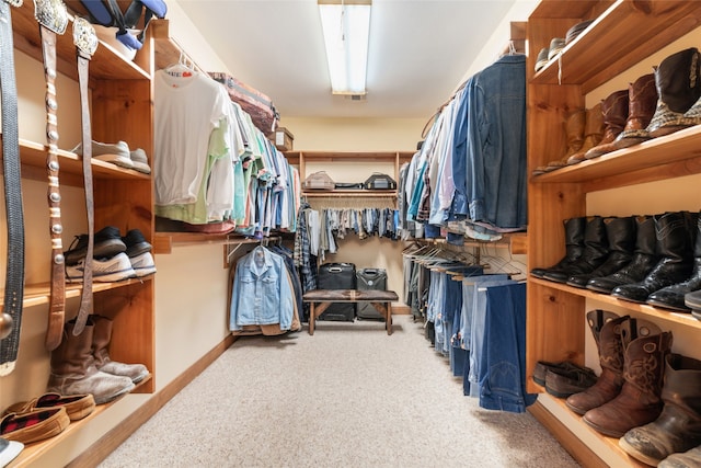 walk in closet with carpet