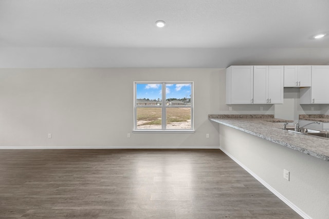 kitchen with white cabinets, dark hardwood / wood-style floors, light stone countertops, and sink