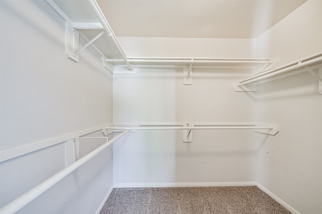 spacious closet with carpet flooring