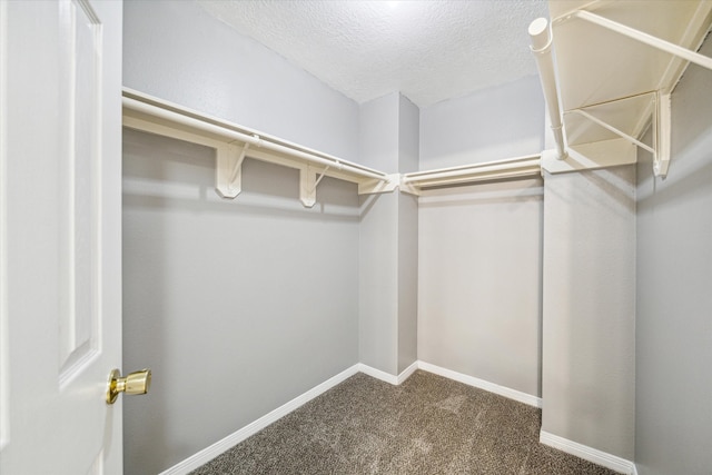 walk in closet with dark colored carpet