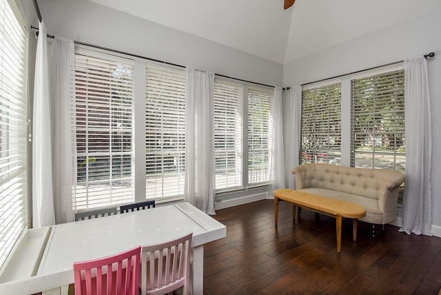 interior space featuring dark hardwood / wood-style flooring and vaulted ceiling