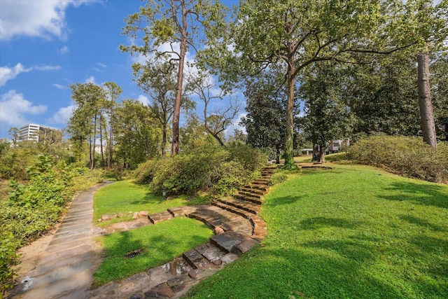 view of property's community featuring a yard