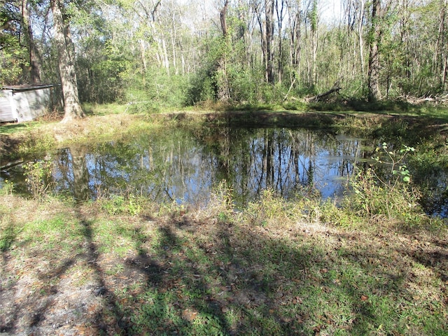 319 River Rd, Goodrich, TX 77335 - water view