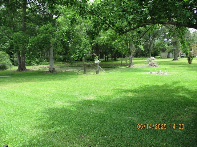 319 River Rd, Goodrich, TX 77335 - view of yard featuring a sport area