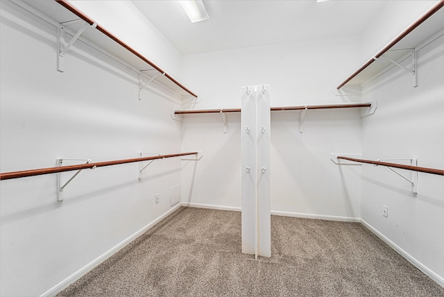 spacious closet with carpet