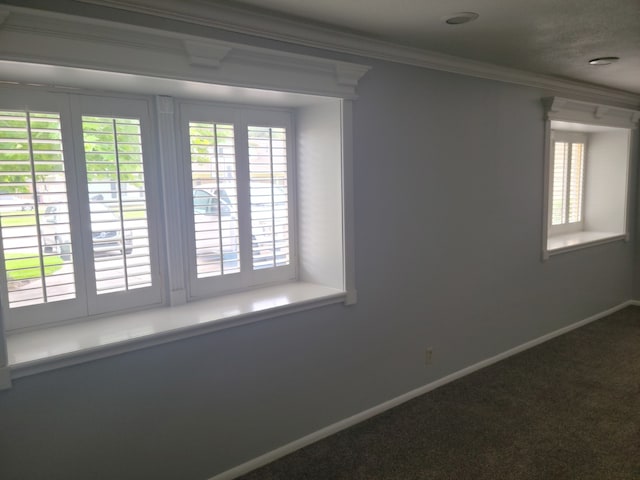 spare room with crown molding and carpet floors