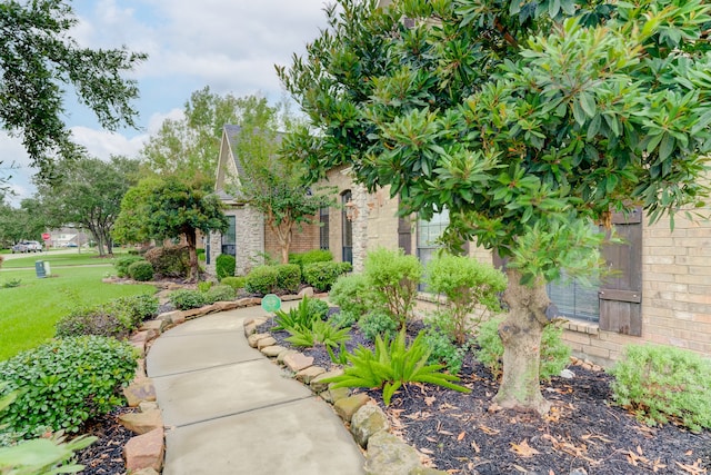 view of front of property with a front lawn