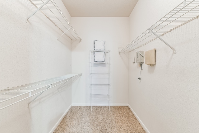 spacious closet featuring carpet floors