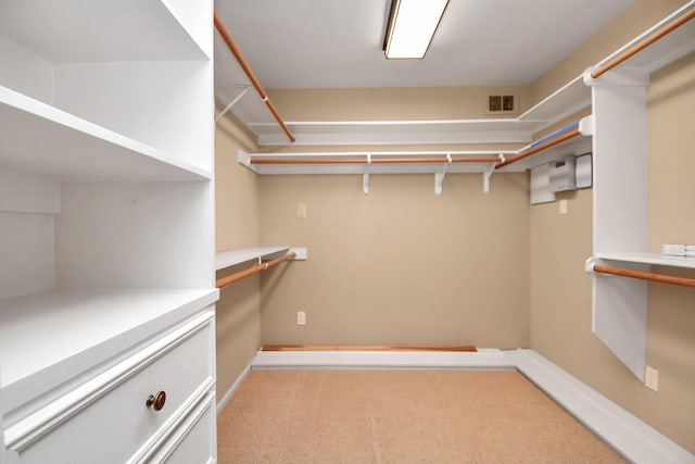 walk in closet with light colored carpet