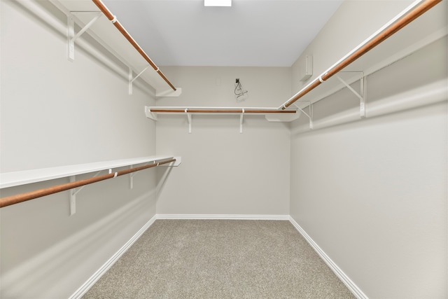 spacious closet with carpet floors