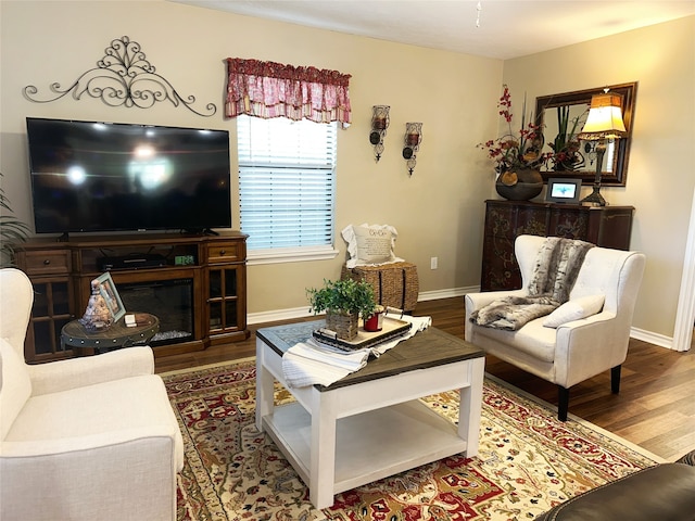 living room featuring hardwood / wood-style flooring