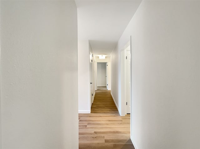 hall featuring light hardwood / wood-style floors