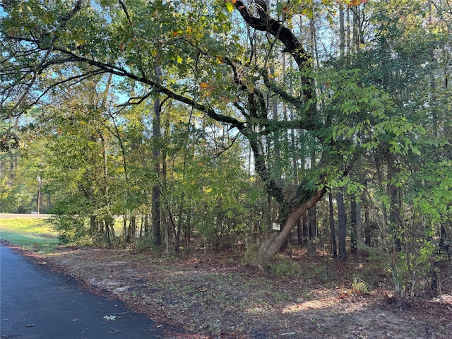 TBD Everitt Lane, Coldspring TX, 77331 land for sale