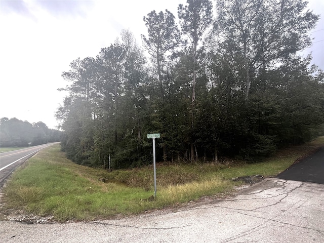 Listing photo 2 for TBD Everitt Lane, Coldspring TX 77331