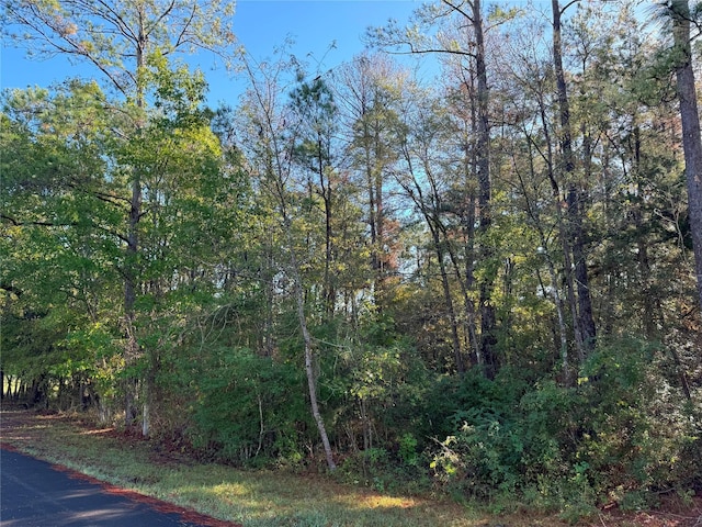 TBD Everitt Lane, Coldspring, TX 77331