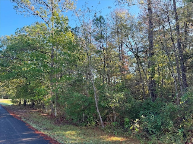 TBD Everitt Lane, Coldspring, TX 77331