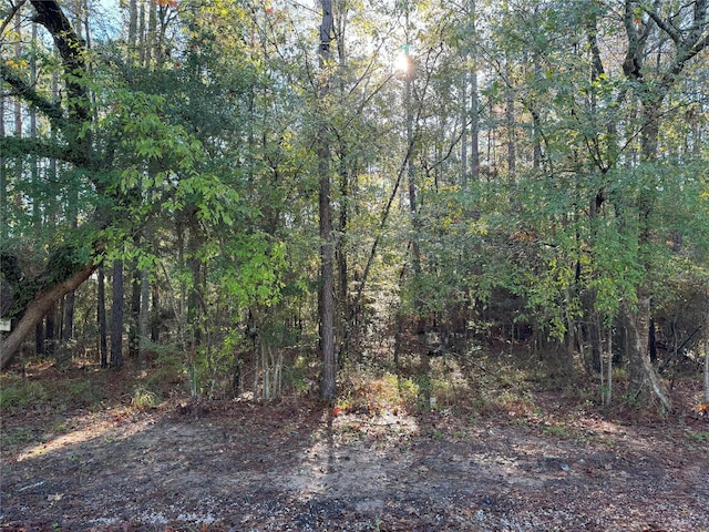 TBD Everitt Lane, Coldspring, TX 77331