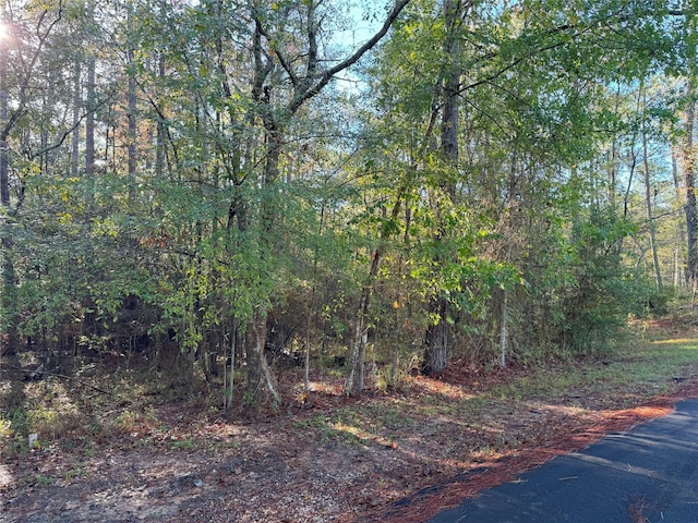 TBD Everitt Lane, Coldspring, TX 77331