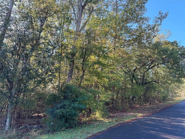 TBD Everitt Lane, Coldspring, TX 77331