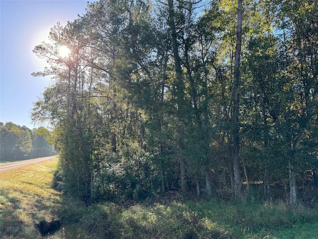 TBD Everitt Lane, Coldspring, TX 77331