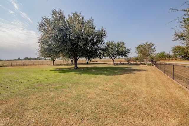 view of yard with a rural view