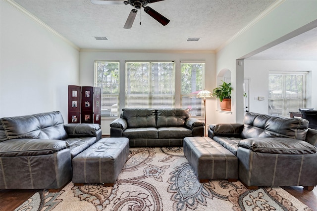 living room featuring wood-type flooring, plenty of natural light, and crown molding