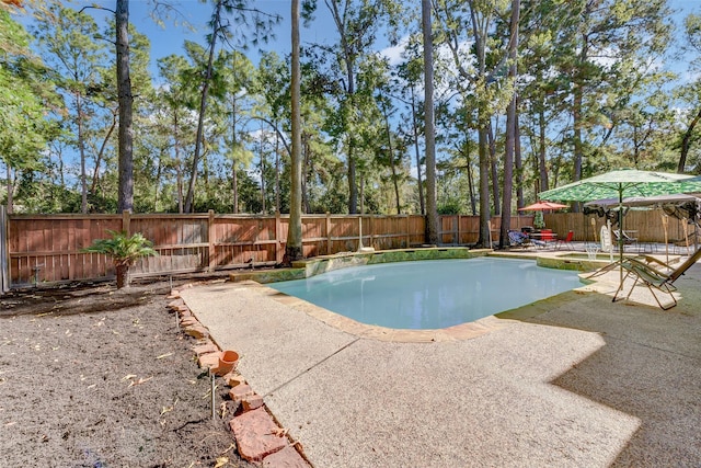 31202 Deerwood Park Ln, Spring City, TX 77386 - view of swimming pool featuring a patio, a fenced backyard, and a pool with connected hot tub