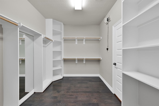 walk in closet featuring dark hardwood / wood-style floors