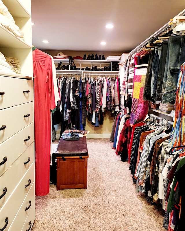 spacious closet featuring carpet