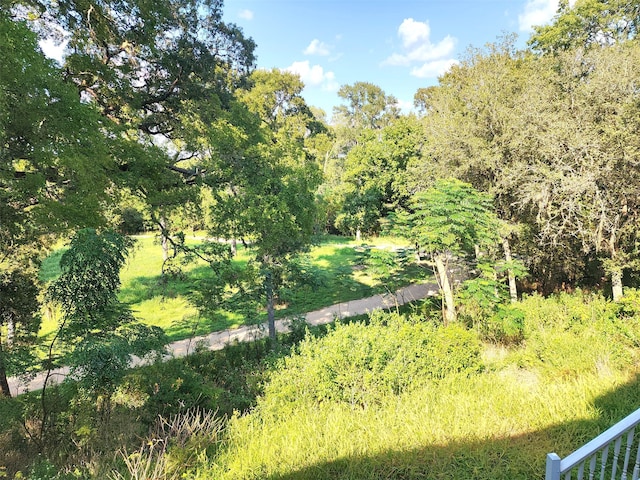 view of local wilderness