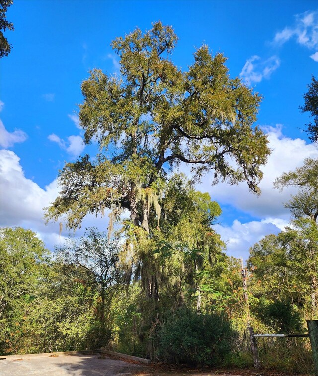view of nature