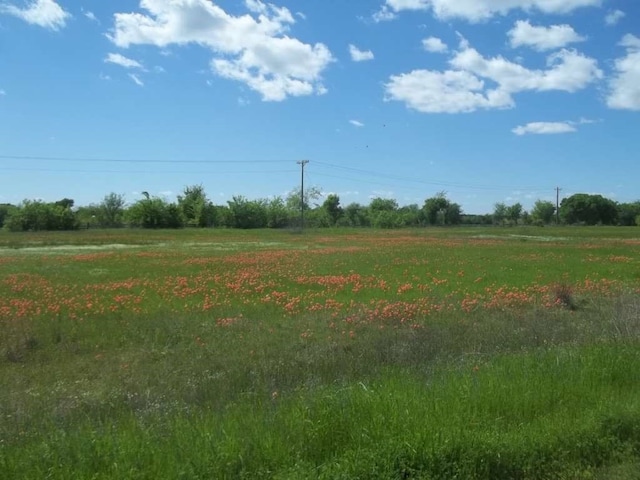 0 Fox Hollow Rd, Lone Oak TX, 75453 land for sale