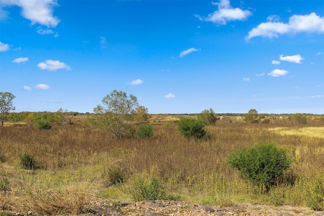 000 Fm 609, La Grange, TX 78945 - photo 5