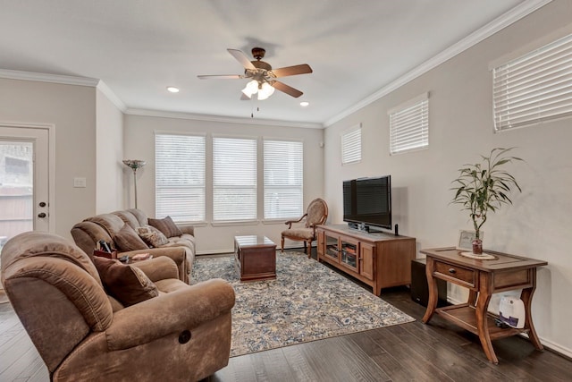 living room with ceiling fan, crown molding, and dark wood-type flooring