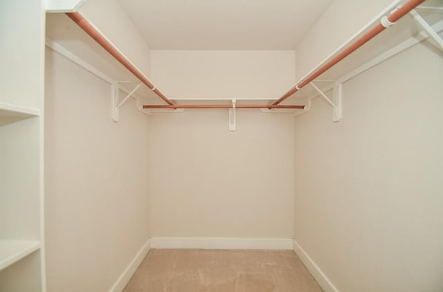 spacious closet featuring carpet flooring