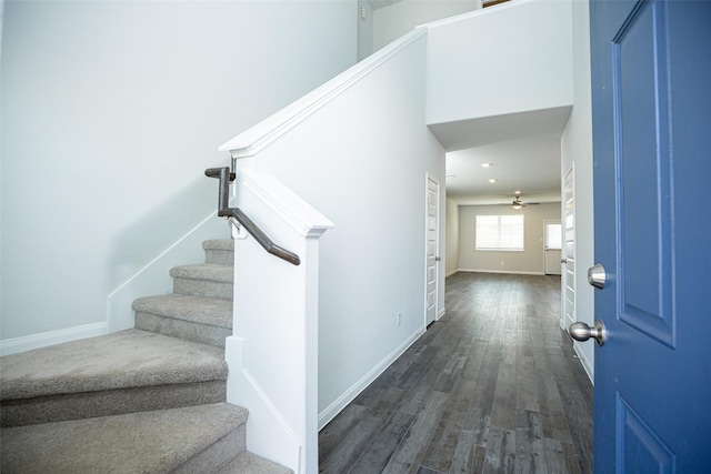 entrance foyer featuring ceiling fan and dark wood-type flooring