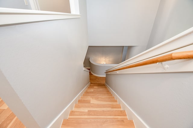 stairway with hardwood / wood-style flooring