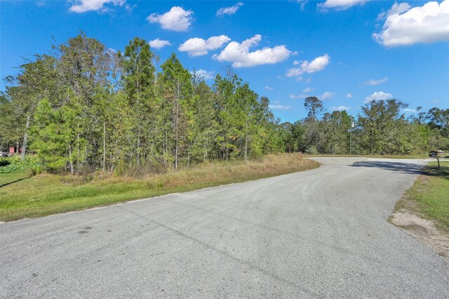 17452 Fm 1314th Rd, Conroe, TX 77302 - photo 14