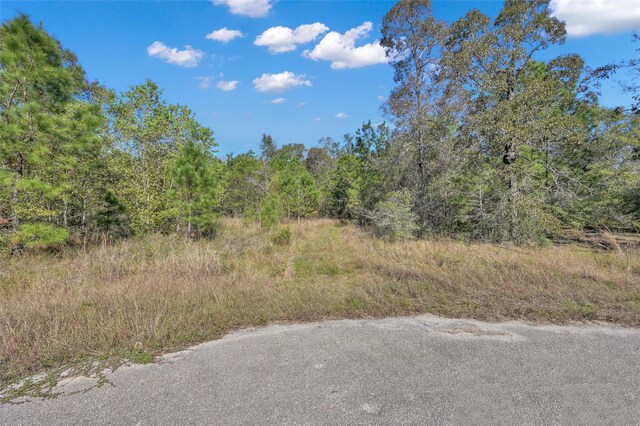 17452 Fm 1314th Rd, Conroe, TX 77302 - photo 15
