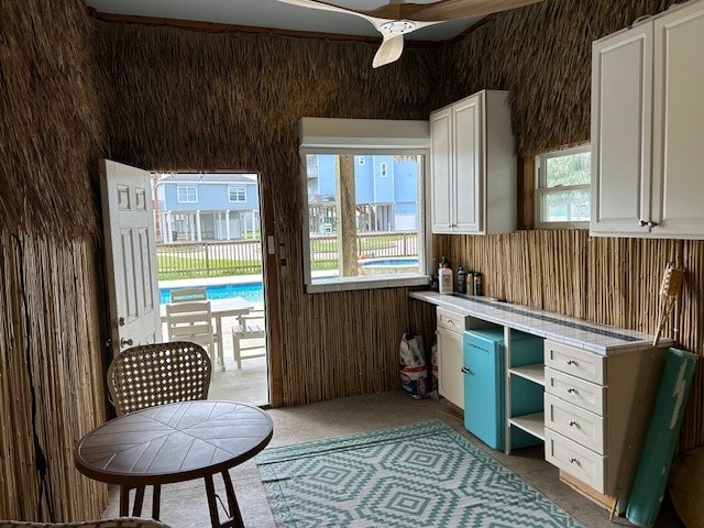 interior space featuring carpet floors, ceiling fan, white cabinets, and a healthy amount of sunlight